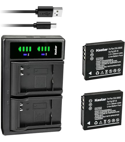 Amazon.com : Wasabi Power Battery for Sigma BP-41 and Sigma DP1